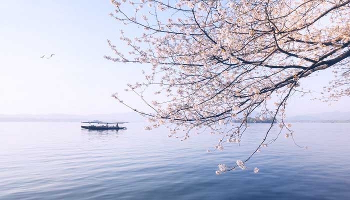 污水处理的一般流程污水处理的一般流程图(图2)