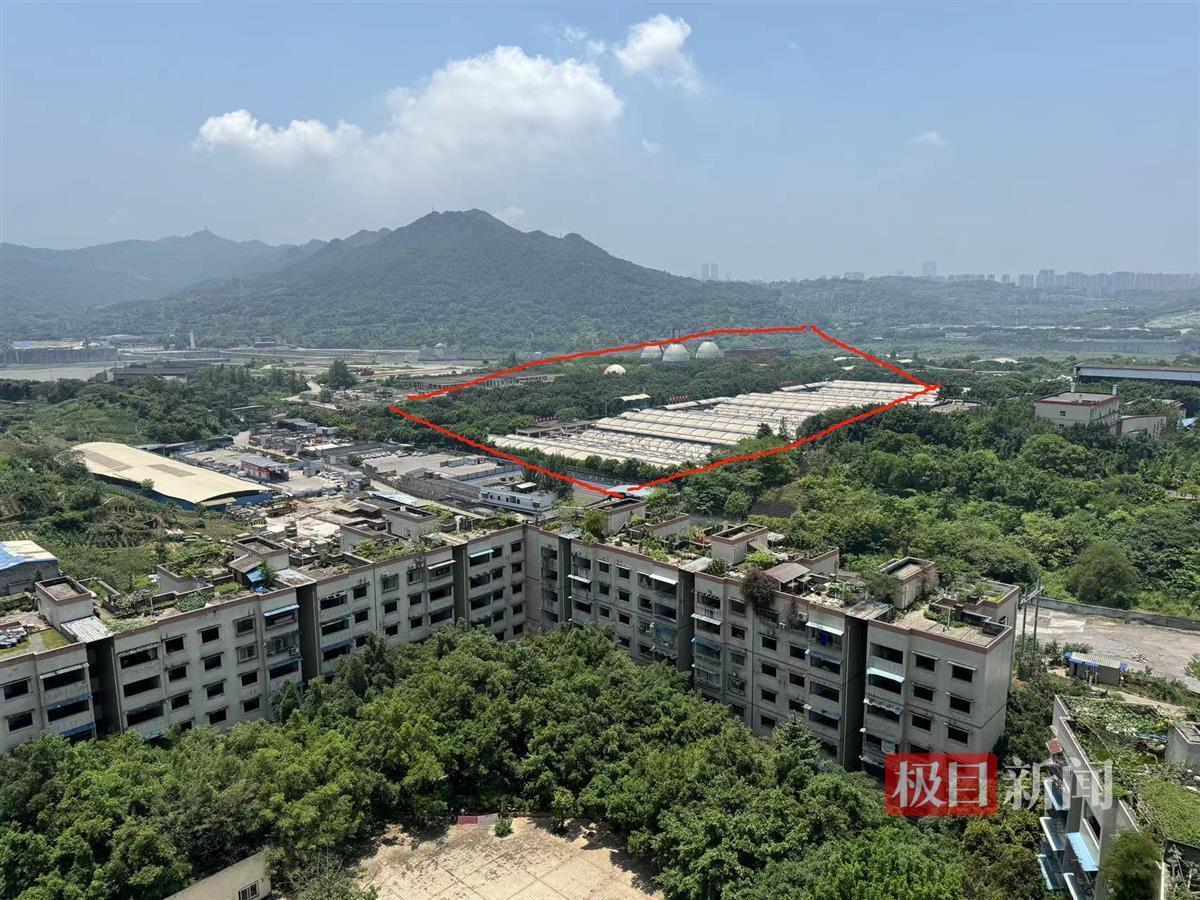 重庆江北一污水处理厂被指臭气扰民十多年：排放未超标(图1)