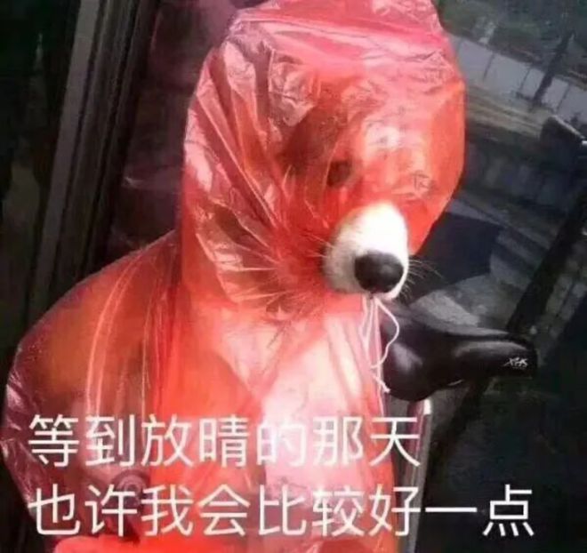 回南天南方人只能兜着湿内裤（附紧急除湿指南(图7)