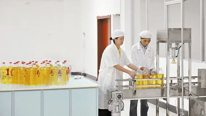 探索红花籽油的神奇制作流程(图7)