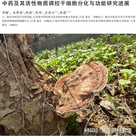 干细胞掀桌大战一触即发？大批富豪涌入中国三甲医院率先设门诊(图3)