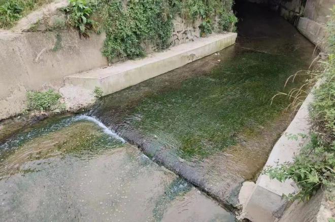 利川这里臭水沟蝶变“民心河”(图1)