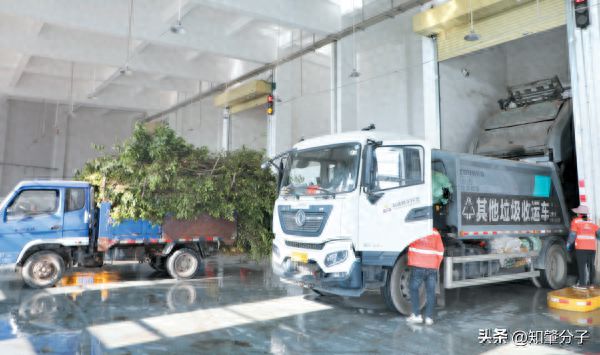 生活垃圾日处理能力近200吨鼎湖区生活垃圾压缩处理站投用(图1)