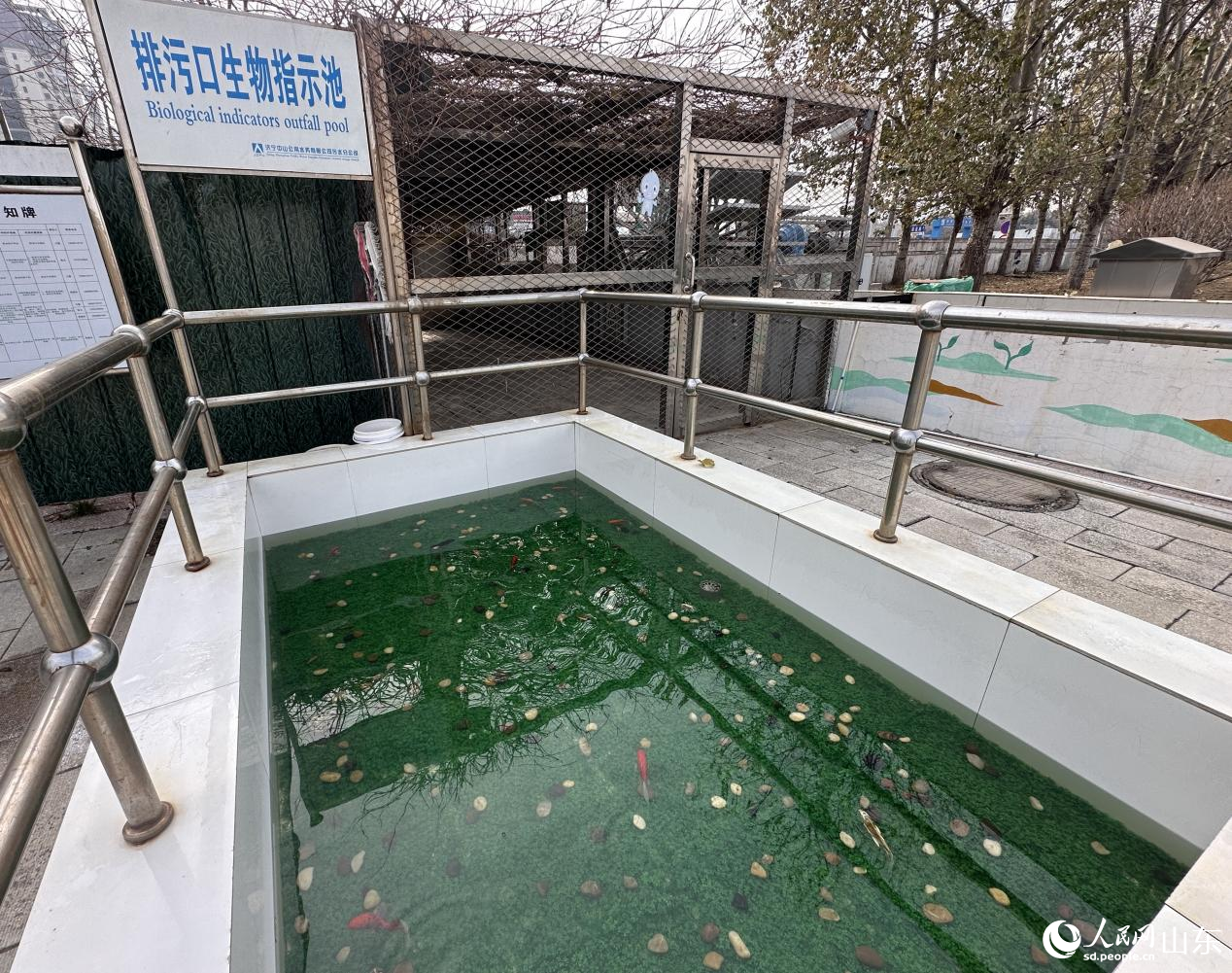 一脉清流养成记(图3)