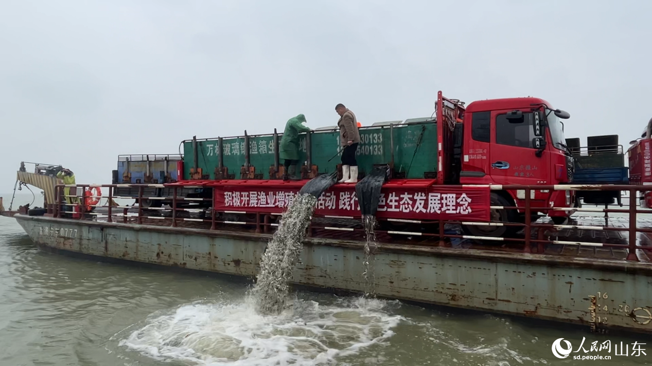 一脉清流养成记(图6)