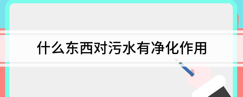 什么东西对污水有净化作用(图1)