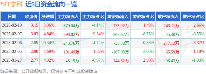 ST宁科（600165）2月10日主力资金净卖出37904万元(图1)