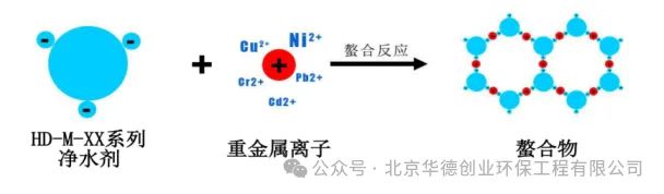 选矿水回用解决了尤其是锂矿回用新方案(图1)