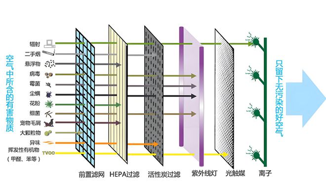 哪个牌子的空气净化器除醛效果好还能消毒杀菌？怎么选不踩雷？(图4)