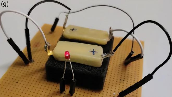 科学家打造可以吃的机器人：由维生素B2、槲皮素和巧克力等组成(图1)