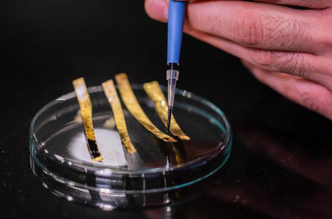 科学家打造可以吃的机器人：由维生素B2、槲皮素和巧克力等组成(图8)