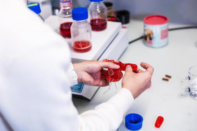 科学家打造可以吃的机器人：由维生素B2、槲皮素和巧克力等组成(图7)