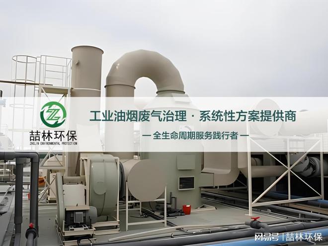 3万风量蜂窝式电捕焦油器按需定制喆林环保(图2)