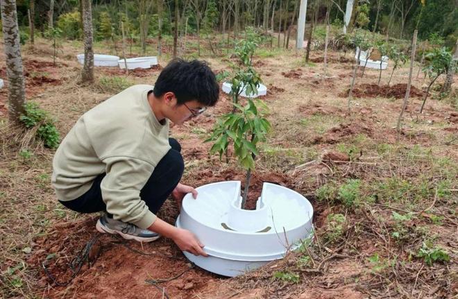 龙泉山“森林四库”建设栽植进度过半(图3)